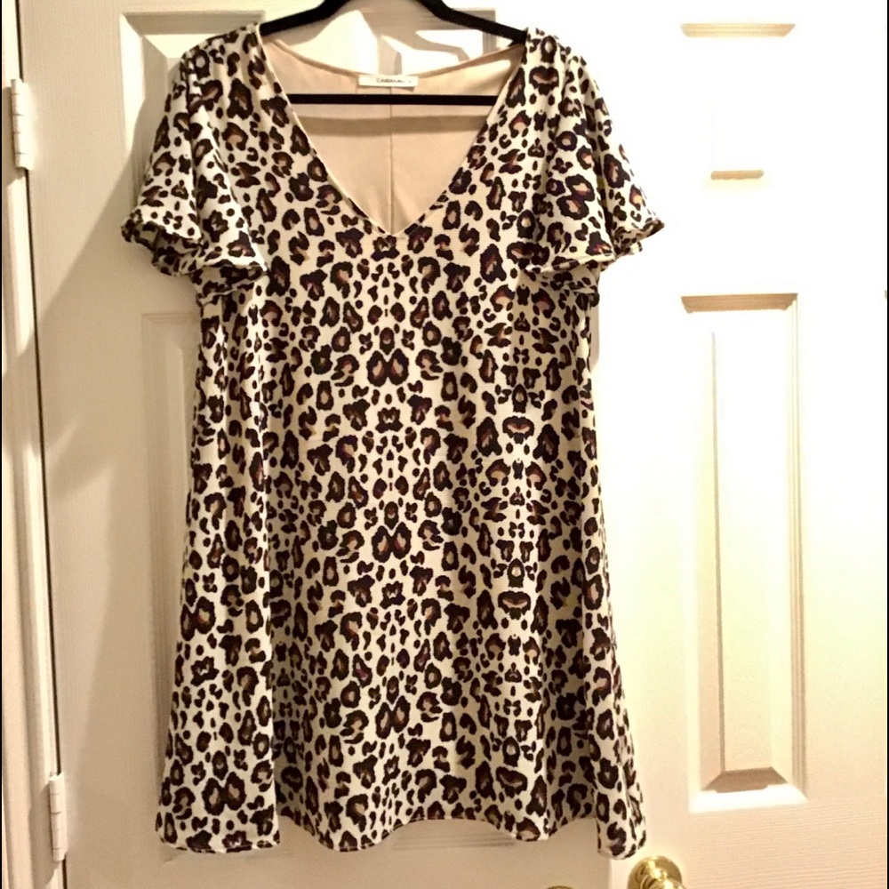 Caramela Leopard Print Swing Mini Dress
